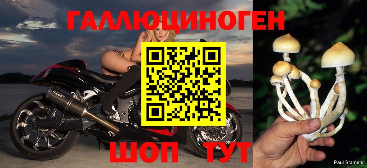 где купить наркоту  Вход с VPN  Гусиноозёрск  Псилоцибиновые грибы мухоморы  Галлюциногенные грибы мухоморы 